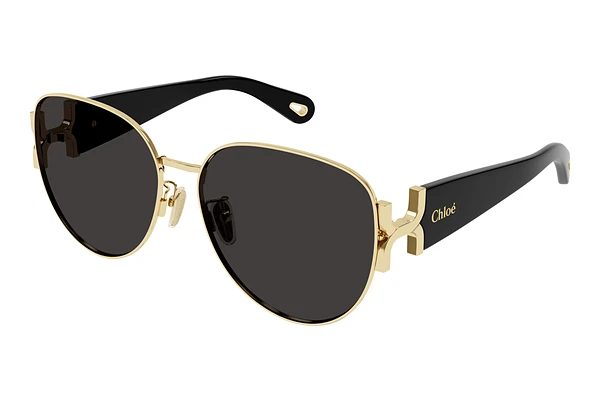 Sunglasses Chloé CH0261SK 001