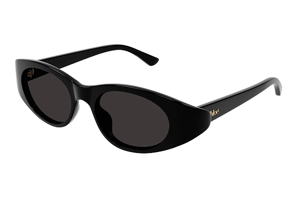 Sunglasses Chloé CH0279S 001