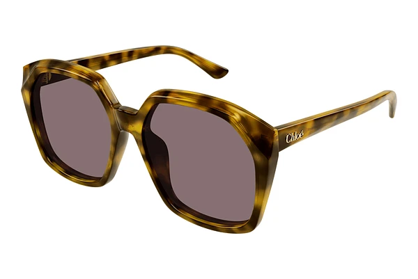 Sunglasses Chloé CH0280S 004