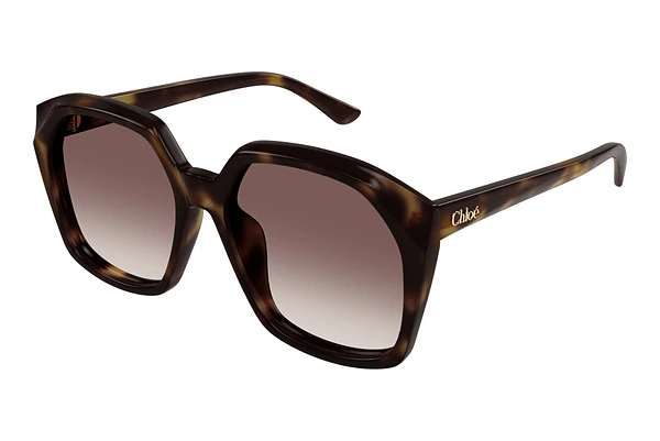 Sunglasses Chloé CH0280S 006