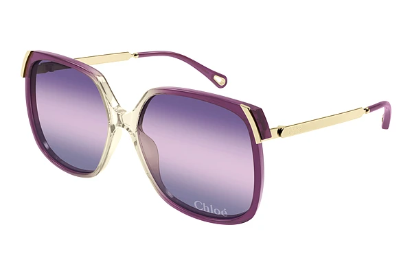 Sunglasses Chloé CH0286S 006