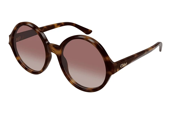 Sunglasses Chloé CH0290S 003