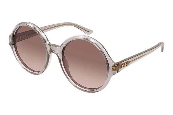 Sunglasses Chloé CH0290S 004