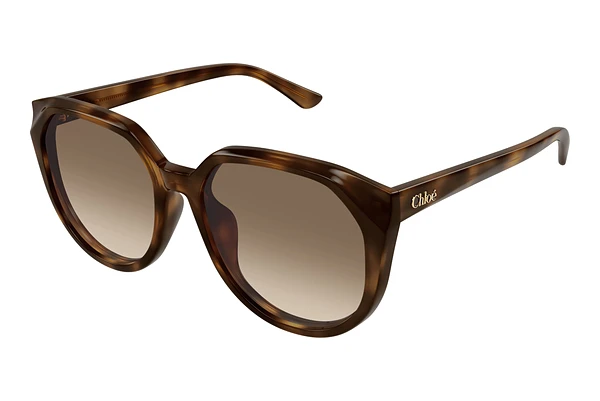 Sunglasses Chloé CH0291SK 003