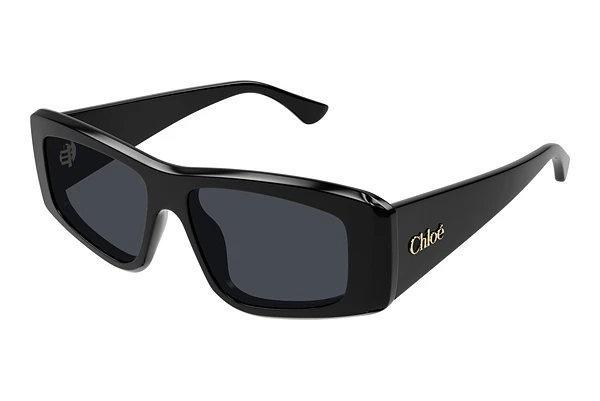 Sunglasses Chloé CH0299S 001