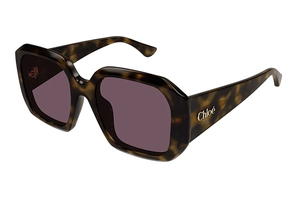 Sunglasses Chloé CH0300S 002