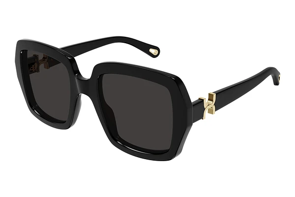 Sunglasses Chloé CH0301S 001