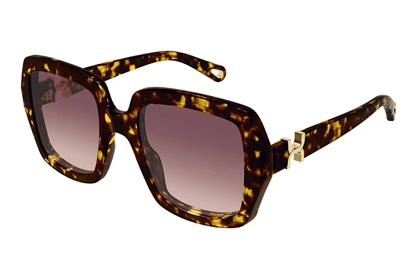 Sunglasses Chloé CH0301S 002