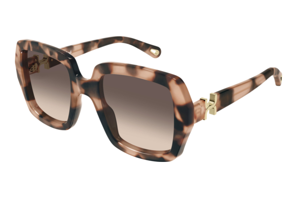 Sunglasses Chloé CH0301S 006