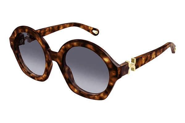 Sunglasses Chloé CH0302S 002
