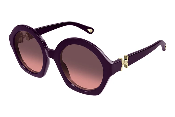 Sunglasses Chloé CH0302S 005
