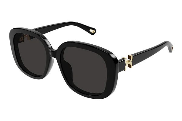 Sunglasses Chloé CH0303SK 001