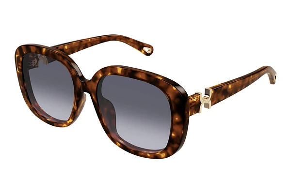 Sunglasses Chloé CH0303SK 002