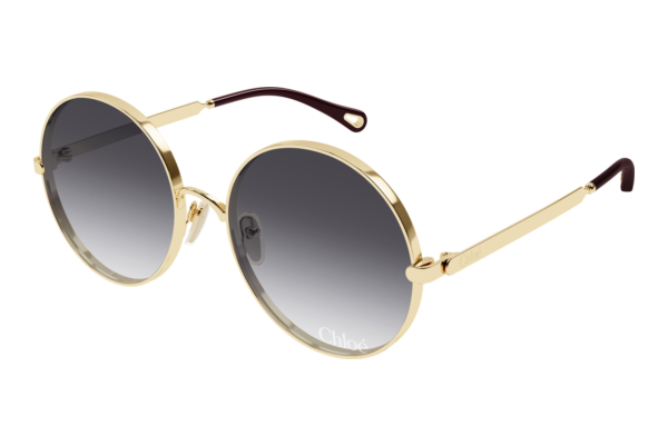 Sunglasses Chloé CH0321S 005