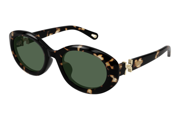 Sunglasses Chloé CH0323SK 002