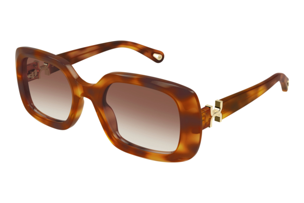 Sunglasses Chloé CH0333S 003