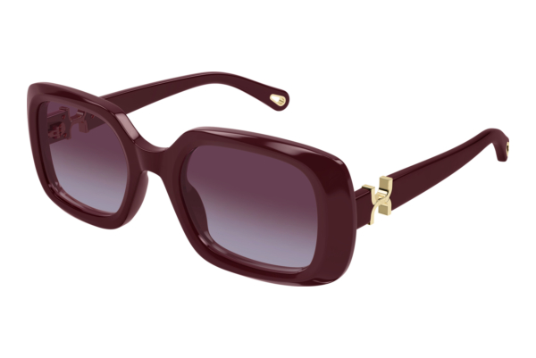 Sunglasses Chloé CH0333S 004