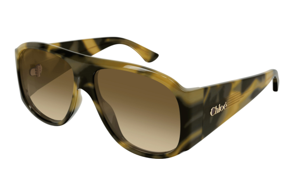 Sunglasses Chloé CH0347S 005