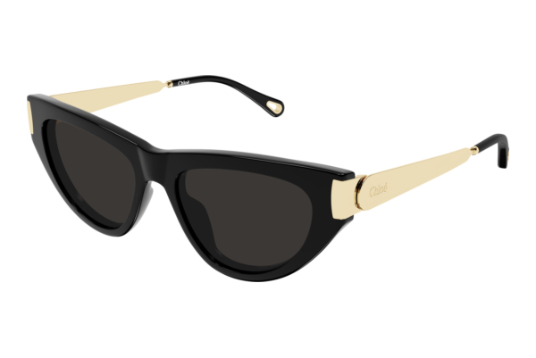 Sunglasses Chloé CH0350S 001