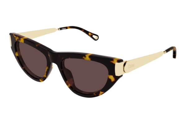 Sunglasses Chloé CH0350S 003