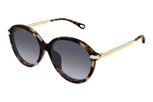 Sunglasses Chloé CH0358SK 002