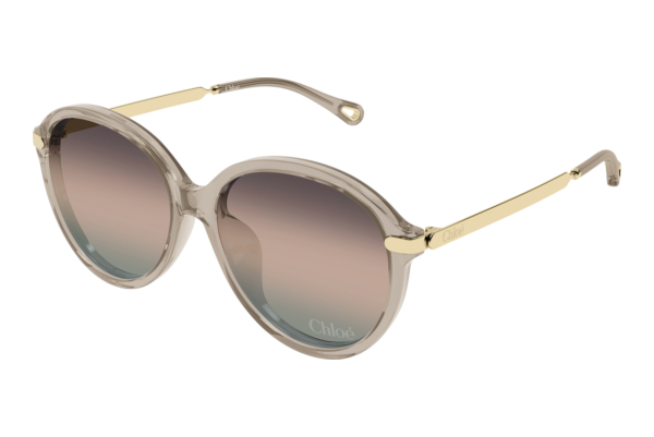 Sunglasses Chloé CH0358SK 005