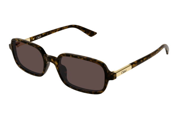 Sunglasses Chloé CH0363S 002