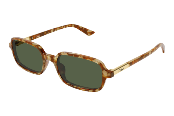 Sunglasses Chloé CH0363S 003