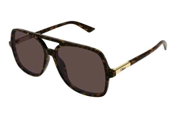 Sunglasses Chloé CH0364S 002