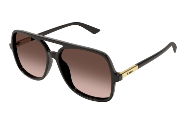 Sunglasses Chloé CH0364S 004