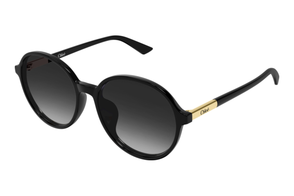 Sunglasses Chloé CH0365SK 001