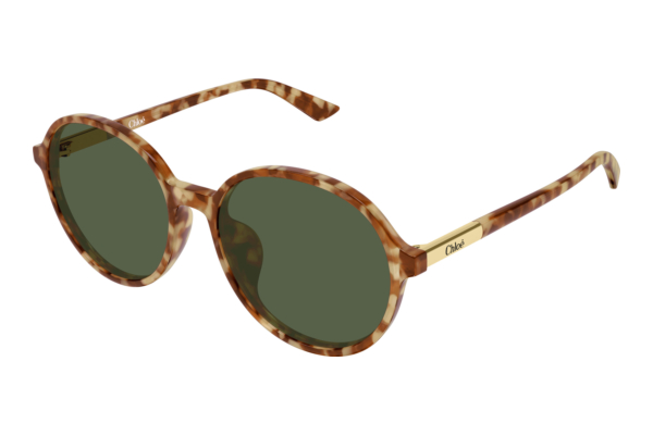 Sunglasses Chloé CH0365SK 004