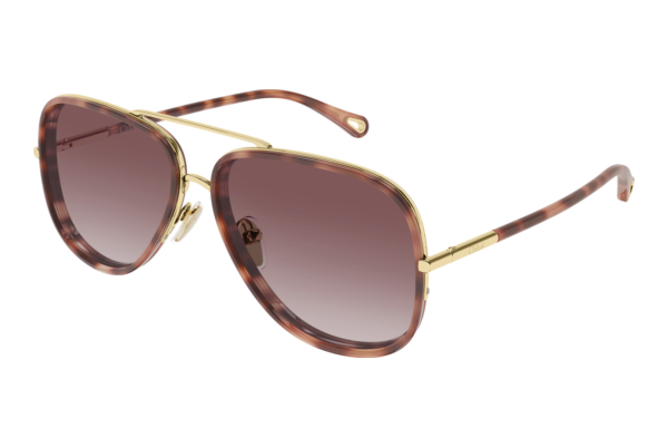 Sunglasses Chloé CH0382S 004