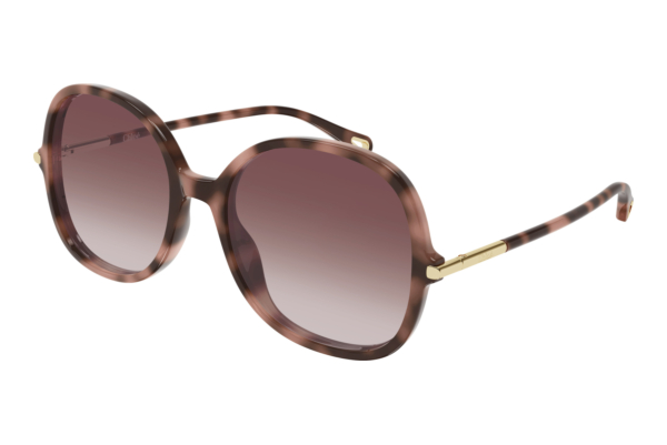Sunglasses Chloé CH0383S 004