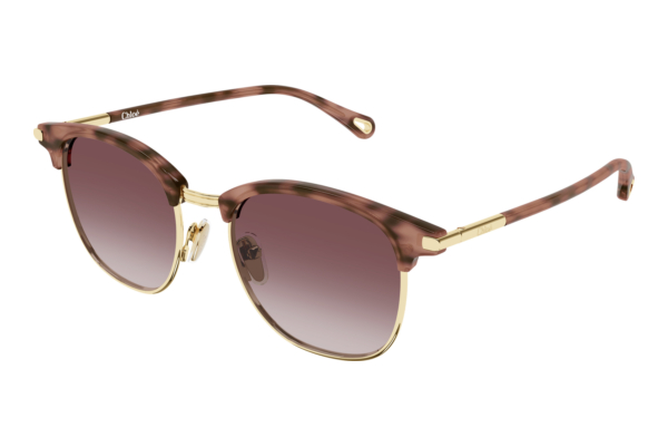 Sunglasses Chloé CH0384S 004
