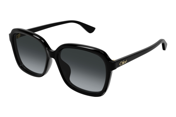 Sunglasses Chloé CH0390SK 001