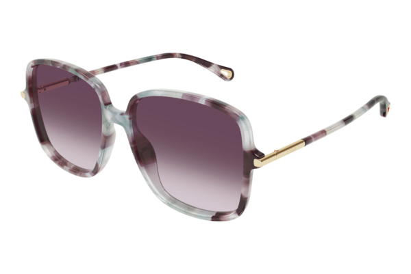 Sunglasses Chloé CH0396S 004
