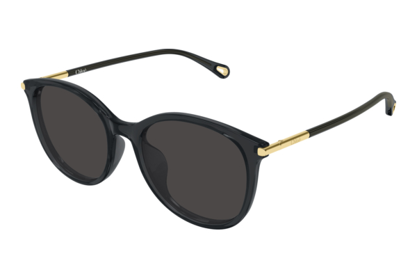 Sunglasses Chloé CH0397SK 001