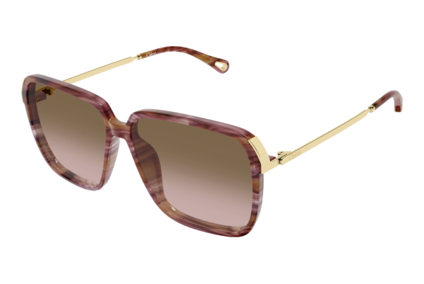 Sunglasses Chloé CH0405S 002
