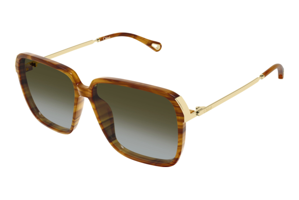 Sunglasses Chloé CH0405S 003