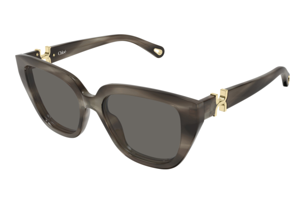 Sunglasses Chloé CH0410S 002