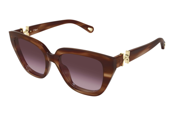 Sunglasses Chloé CH0410S 003