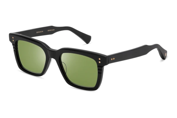 Sunglasses DITA Sequoia (DTS-757 01A)