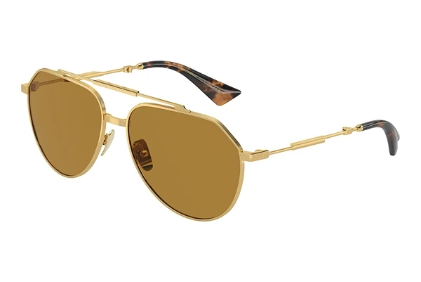 Sunglasses Dolce & Gabbana DG2302 02/53