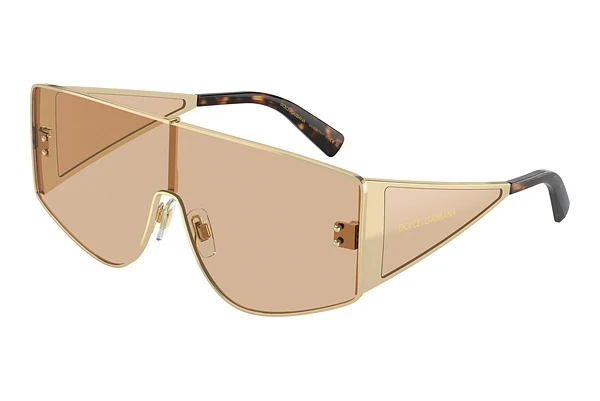 Sunglasses Dolce & Gabbana DG2305 13655A