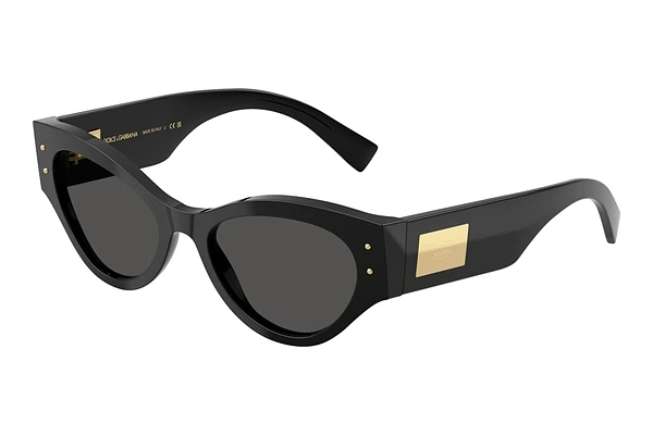 Sunglasses Dolce & Gabbana DG4480 501/87