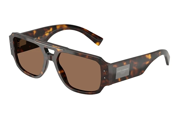 Sunglasses Dolce & Gabbana DG4482 502/73