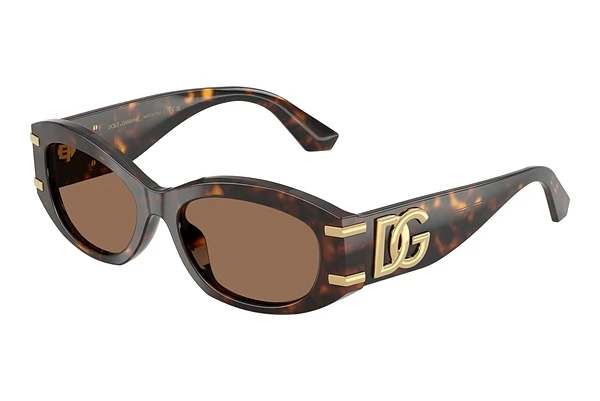 Sunglasses Dolce & Gabbana DG4502 502/73
