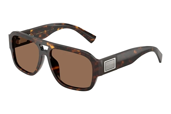 Sunglasses Dolce & Gabbana DG4506 502/73