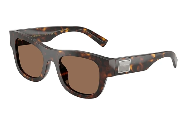 Sunglasses Dolce & Gabbana DG4509 502/73